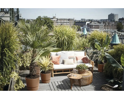 Dachterrasse mit Sitzgruppe, Pflanzen und Ausblick auf die Stadt