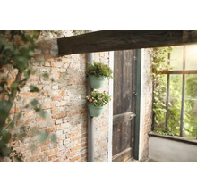Blumentopf Pflanztopf Fallrohrpflanzgefäß Elho Vibia Campana Kunststoff 21,6 x 19,1 x 16,3 cm grün
