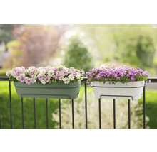 Zwei Balkonkästen mit Blumen auf einem Balkongeländer.