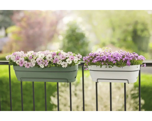 Zwei Balkonkästen mit Blumen auf einem Balkongeländer.