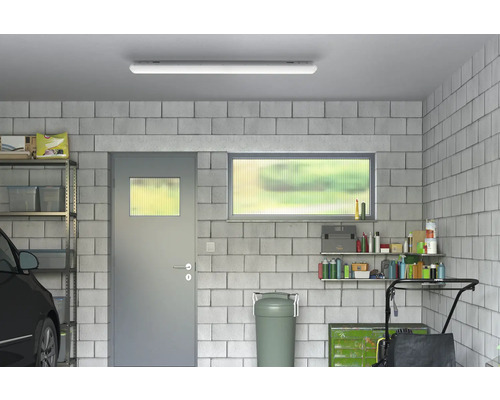 Garage mit Regalen, Tür, Fenster und Deckenleuchte.