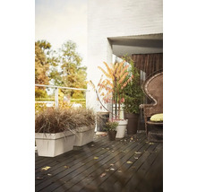 Dekorierter Balkon mit Pflanzen in Töpfen und rechteckigen Pflanzkästen