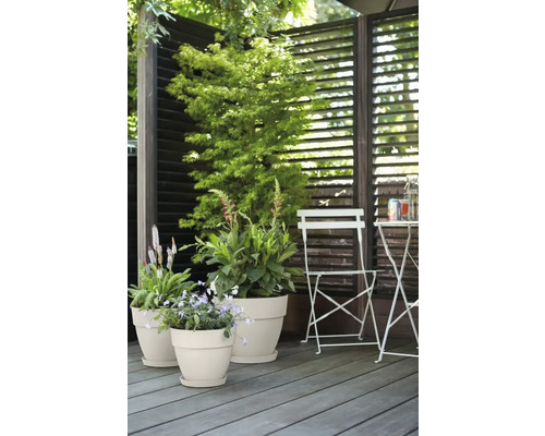 Gartenszene mit Pflanzen in Pflanzgefäßen auf einer Holzterrasse