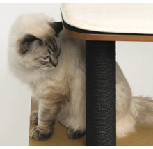 Katze sitzt unter einem Katzenkratzbaum