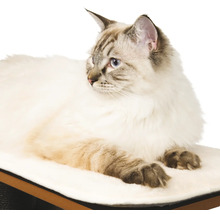 Eine Katze liegt auf einem Katzenbaum.
