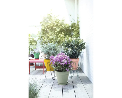 Terrasse mit Topfpflanzen in bunten Blumentöpfen