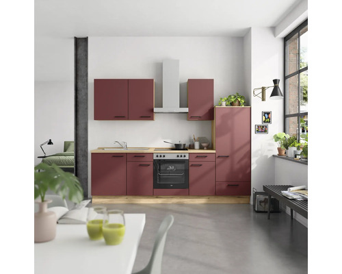 Küche mit Küchenschränken, Dunstabzugshaube, Spüle, Kochfeld und Backofen