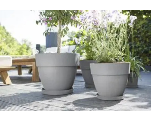 Szene mit mehreren grauen Pflanzgefäßen mit Pflanzen auf einer Terrasse.
