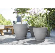 Mehrere bepflanzte Pflanzgefäße auf einer Terrasse