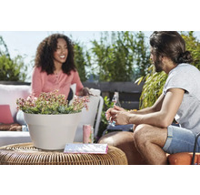Szene im Freien mit einem bepflanzten Topf auf einem Tisch und zwei Personen im Hintergrund.