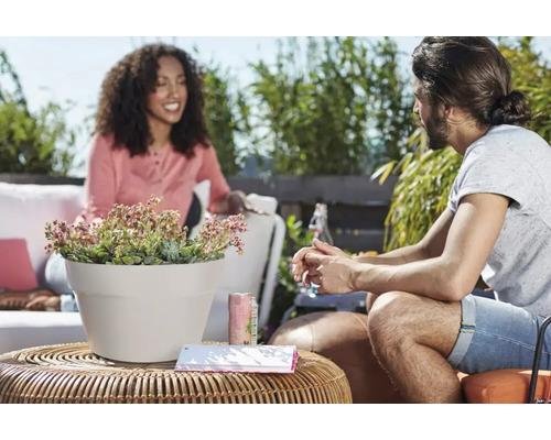Szene im Freien mit einem bepflanzten Topf auf einem Tisch und zwei Personen im Hintergrund.