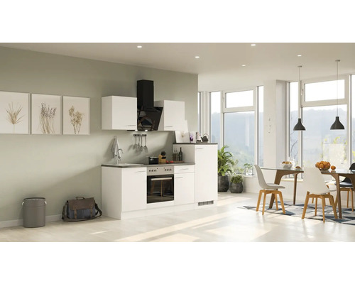Flex Well Küchenzeile mit Geräten Lucca 220 cm Frontfarbe | HORNBACH