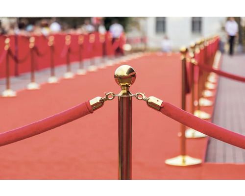 Roter Teppich mit Absperrpfosten und Kordeln