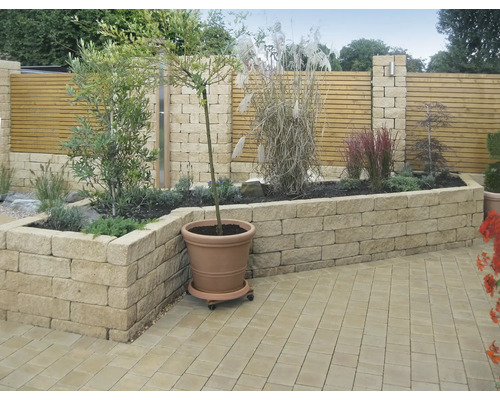 Gartenanlage mit Pflastersteinen, Pflanzen und einer Holzwand