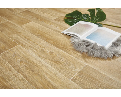 Verlegung von Holzlaminat mit Buch und Dekoration