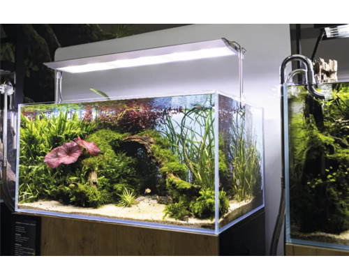 Süßwasser Aquarium deals Komplettset