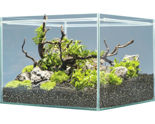 Aquariumdekoration sera Hardscape Set Scaper Cube Shrimp für 48 bis 80 Liter Aquarium, optimal 48 Liter, inkl. Rock Gray Mountain, Scaper Root, floredepot, Gravel Anthracite (ohne Pflanzen und Aquarium) Dekoratives Aquarium mit Pflanzen, Steinen und Holzwurzeln