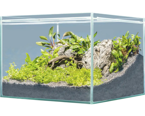 Aquariumdekoration sera Hardscape Set Scaper Cube Asia für 48 bis 80 Liter Aquarium, optimal 48 Liter, inkl. Rock Quartz Gray, Scaper Root, floredepot, Gravel Gray (ohne Pflanzen und Aquarium) Glasaquarium mit Pflanzen, Steinen und Wurzelholz eingerichtet