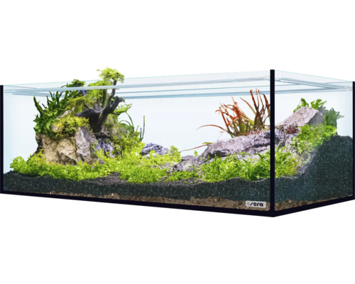 Aquariumdekoration sera Hardscape Set Scaper Cube Shrimp für 96 bis 160 Liter Aquarium, optimal 48 Liter, inkl. Rock Gray Mountain, Scaper Root, floredepot, Gravel Anthracite (ohne Pflanzen und Aquarium)