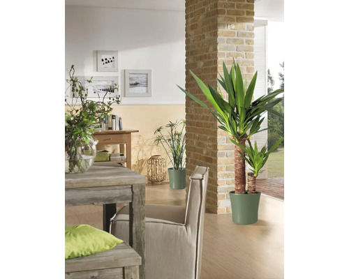 Wohnzimmer mit Holztisch, Stuhl, Zimmerpflanzen und Ziegelwand