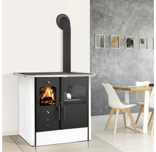 Holzofen im Esszimmer mit sichtbarem Feuer hinter der Glastür.