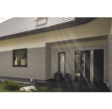 Fassade eines Hauses mit Fenster, Haustür und liegendem Hund