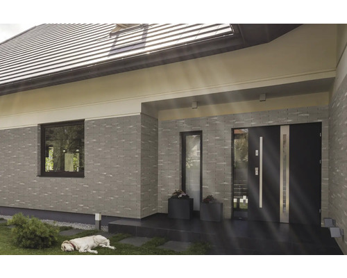 Fassade eines Hauses mit Fenster, Haustür und liegendem Hund