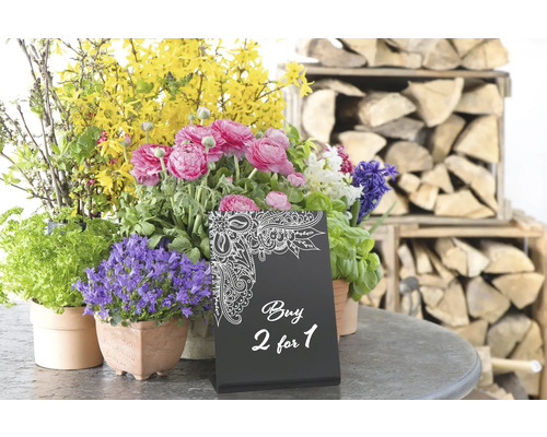 Blumenarrangement mit verschiedenen Frühlingsblühern und dem Angebot: Kaufe 2 zum Preis von 1