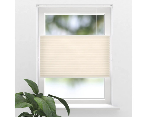 Fenster mit Faltrollo zur Beschattung