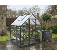 Gewächshaus mit Pflanzen und einer Pflanze im Topf im Garten.