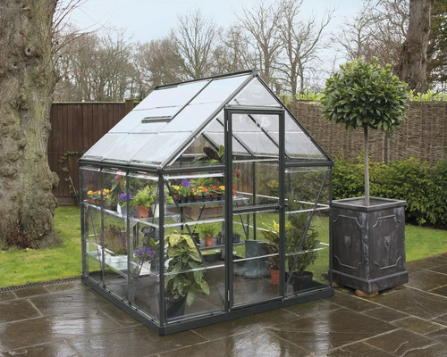 Gewächshaus CANOPIA by Palram Harmony inkl. Polycarbonat 0,7 mm 185 x 186 cm grau Gewächshaus mit Pflanzen und einer Pflanze im Topf im Garten.