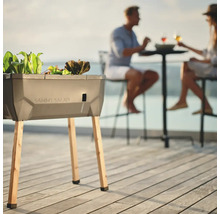 Hochbeet mit Salatpflanzen und Holzbeinen im Gartenbereich