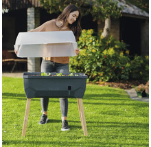 Frau setzt eine transparente Abdeckung auf einen erhöhten Kräutergarten im Garten.