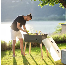 Mann, der Salat in einem Hochbeet im Garten pflanzt. Das Hochbeet hat Holzbeine und einen hellen Deckel.