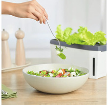 Kräutertopf Harry Herbs Gusta Garden mit Deckel weiß