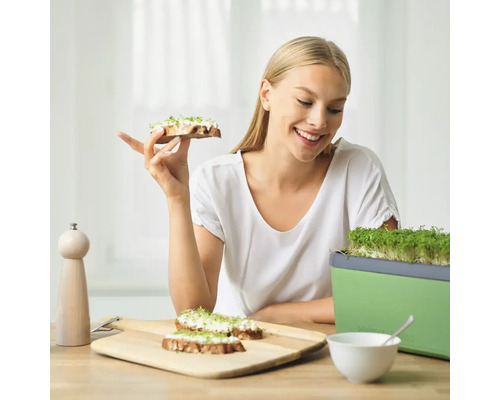 Frau isst mit Kresse belegtes Brot neben Kresse Anzuchtbox