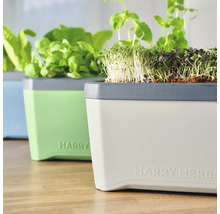 Kräutertopf Harry Herbs Gusta Garden mit Deckel blau