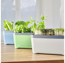 Kräutertopf Harry Herbs Gusta Garden mit Deckel blau