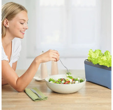 Kräutertopf Harry Herbs Gusta Garden mit Deckel blau