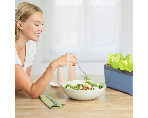 Frau isst Salat neben einem Salatbeet für den Innenbereich