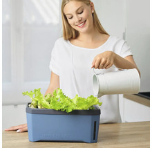 Kräutertopf Harry Herbs Gusta Garden mit Deckel blau