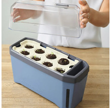 Kräutertopf Harry Herbs Gusta Garden mit Deckel blau