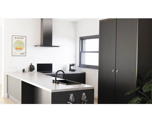 Moderne Küche mit Kochinsel, Dunstabzugshaube und Schrank