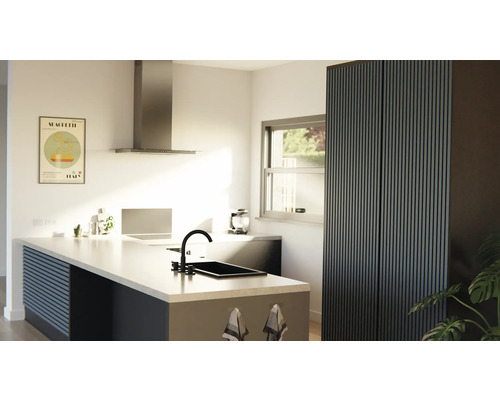 Helle Küche mit Kücheninsel, Spüle, Dunstabzugshaube und Hochschrank