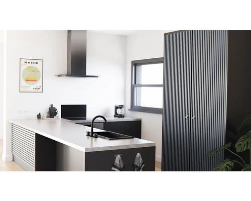 Moderne Küche mit Kochinsel, Dunstabzugshaube und Hochschrank