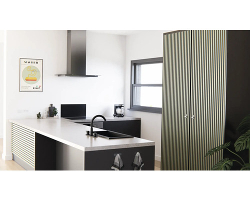 Moderne Küche mit Kochinsel, Dunstabzugshaube und hohem Schrank