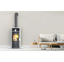 Kaminofen mit Rauchrohr in Wohnzimmerumgebung