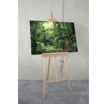 Leinwandbild Jungleflair 90x60 cm