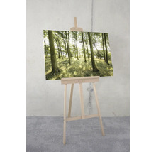 Leinwandbild Dänische Buchen 90x60 cm