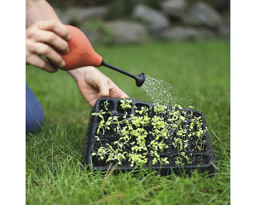 Eine Person gießt Setzlinge in einer Anzuchtplatte mit einer Gießkanne.